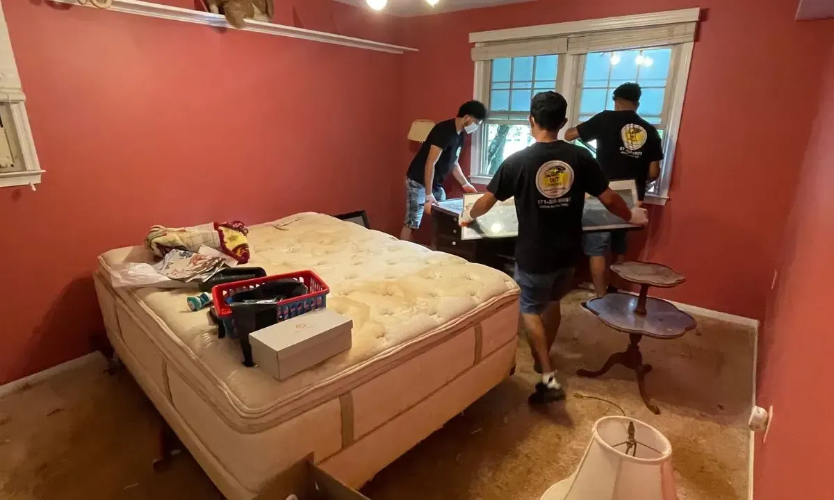 Bed Bug Furniture Removal